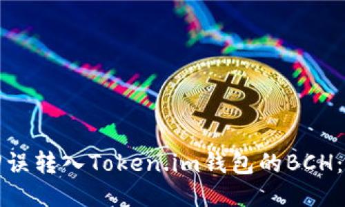 如何找回误转入Token.im钱包的BCH：详细指南