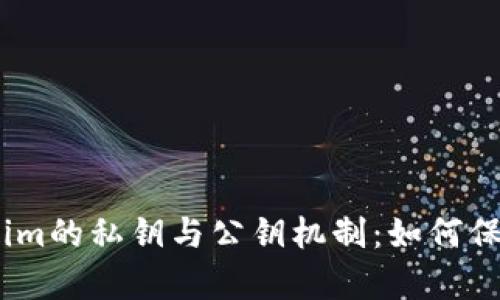 深入解析Token.im的私钥与公钥机制：如何保护你的数字资产