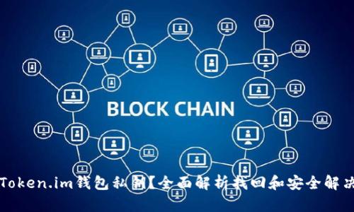 忘记Token.im钱包私钥？全面解析找回和安全解决方案